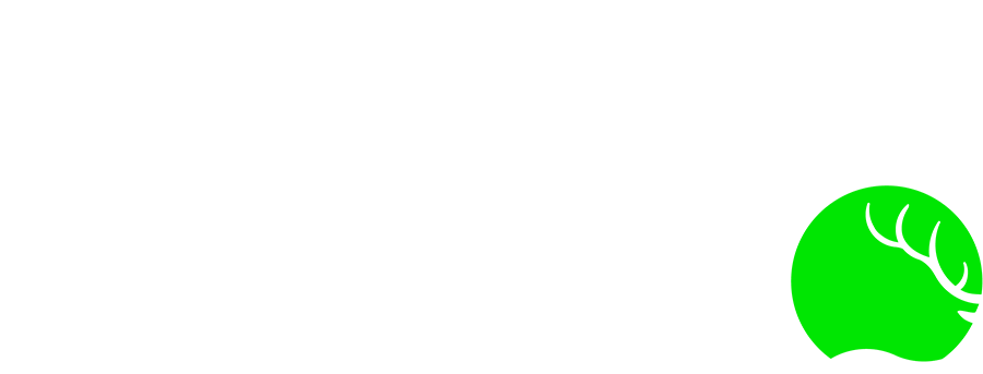 Logo ELK agency, Web & Marketing agency in Lausanne